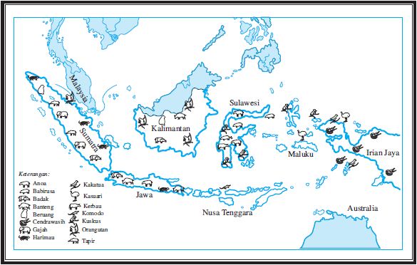 Persebaran Jenis Jenis Flora  dan  Fauna  di  Indonesia  Bagian 
