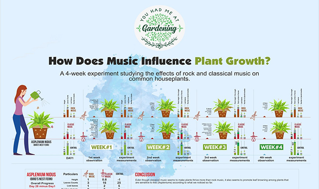 Plant Experiment: Classical & Rock Music for Plants Growth 