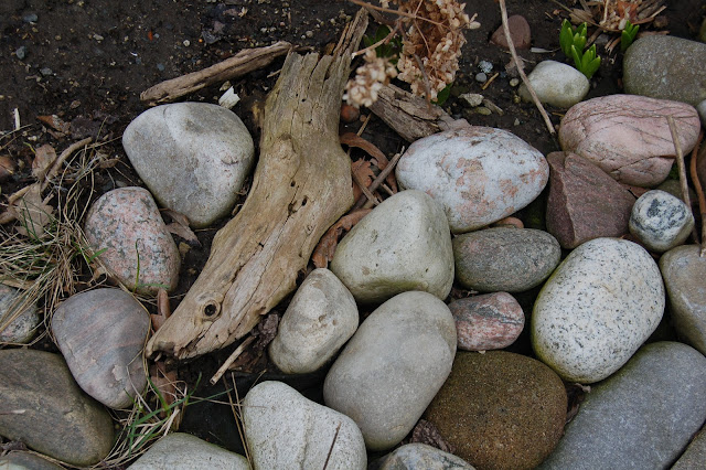 Lake Ontario rocks