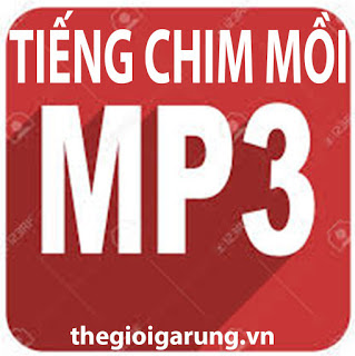 tiếng chim mồi chuẩn MP3 miễn phí, không lẫn nhạc, tạp âm. Có nhiều loại tiếng chim mồi: tiếng gà rừng, tiếng chim cút, chim quốc...phục vụ anh em đi bẫy hiệu quả