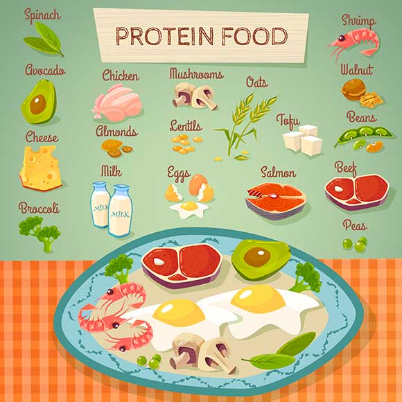 Protein_Chart