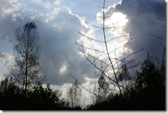 DSC05464