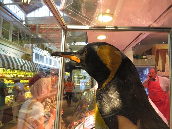 Penguin