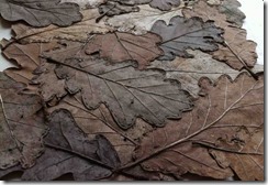alice fox  leaf quilt