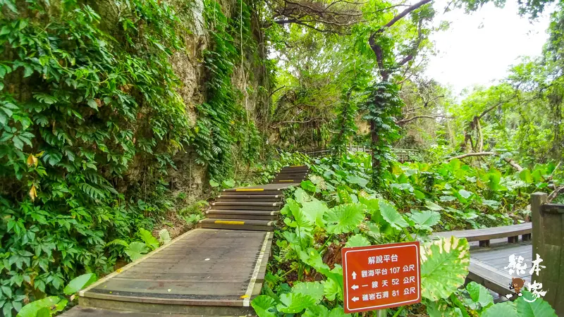 小琉球山豬溝生態步道-彷如阿凡達中身處潘朵拉星上的納美人禁地