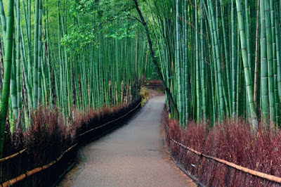 Arashiyama 