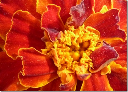 P1020340
