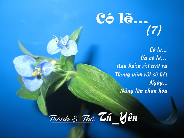 Chùm thơ "Có lẽ..." Cole7