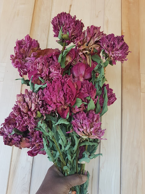 Dried Garden peonies