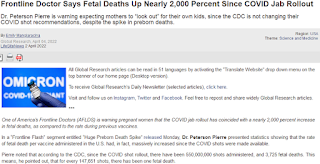 코로나 백신접종 이후, 배속아기 (태아 胎兒) 사망율 2천 퍼센트 (2,000%) 폭증