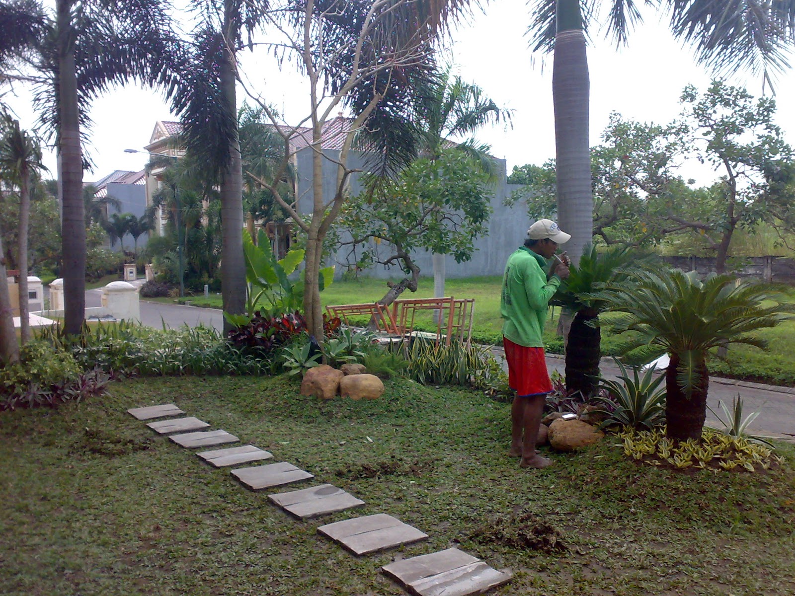 TAMAN MINIMALIS TUKANG TAMAN SURABAYA