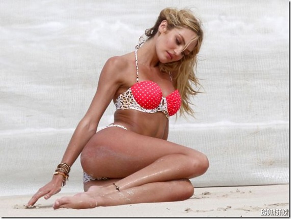 candice-swanepoel-bikini-cat-12