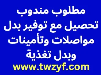 مطلوب مندوب تحصيل مع توفير بدل مواصلات وتأمينات وبدل تغذية