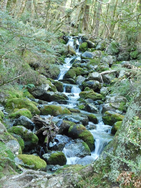 DSCN4914