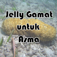 Jelly Gamat untuk Asma