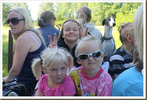 Midsomar 2010 005