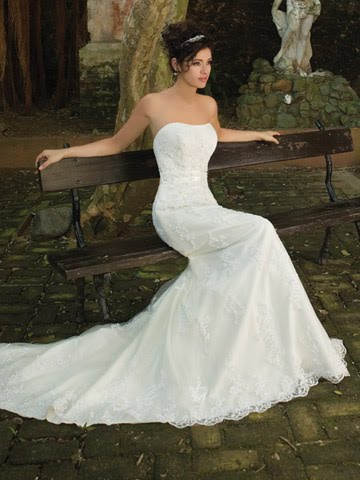 Wedding dresses 2011 trends evergreen style with white strapless with lace 