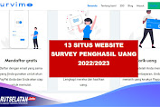 13 Situs Survey Online Penghasil Uang Tercepat dan Aman 2022/2023