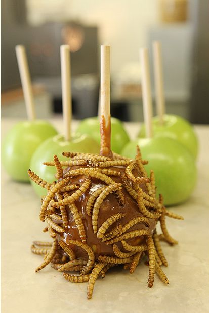 [insect_candy_10.jpg]