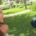 Angry Bird: The Moment Peacock Attacks Girl