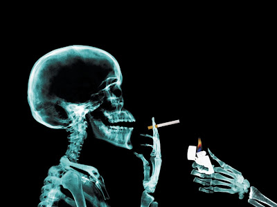 imagini Funny | free wallpaper funny wallpaper desktop. imagini Funny | free wallpaper