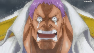 ワンピース 劇場版 フィルムゼット 海軍大将 ゼファー Zephyr | ONE PIECE MOVIE FILM Z