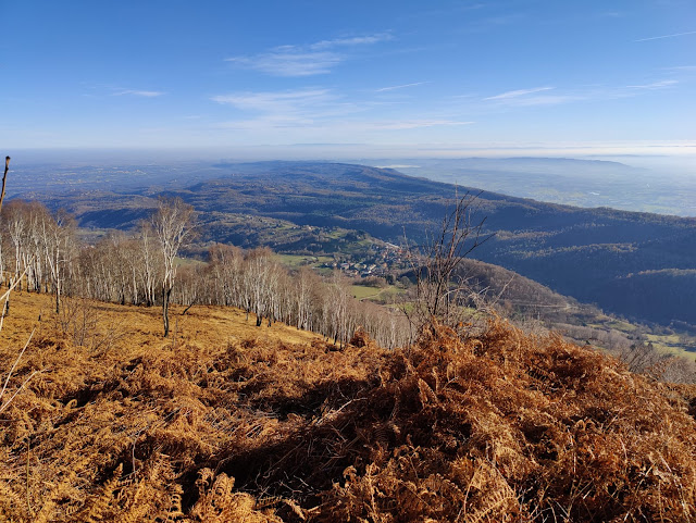 panorama da cascina belvedere