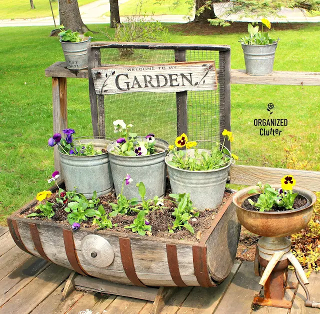 Planting Pansies On The Deck Junk Garden Style #pansies #galvanized #oldsignstencils #junkgarden #stencil #sign #gardensign #containergarden