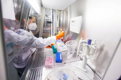 Estudando o vírus da varíola dos macacos no laboratório