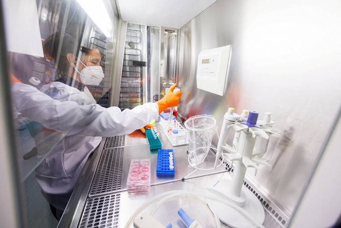 Dois casos de varíola dos macacos encontrados na Letônia