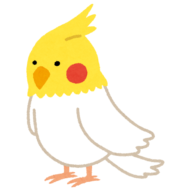 オカメインコのイラスト 鳥 かわいいフリー素材集 いらすとや