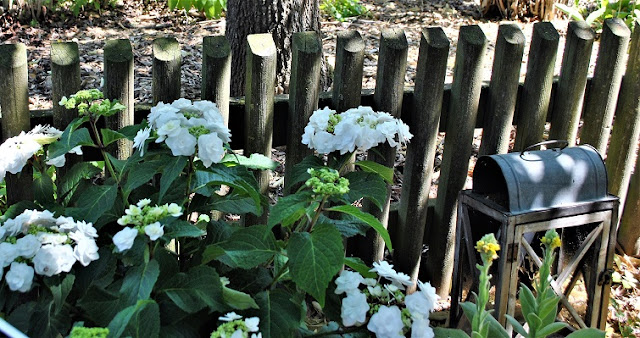 Landwirtschaftlicher Hof - Garten