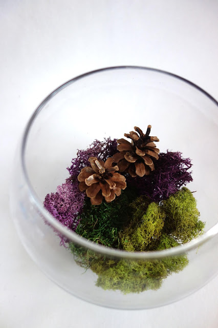 moss, terrarium, autumn terrarium, dried leaves, acorns, pine cones, dried flowers, arrangement for autumn, centerpiece, blah to TADA, uses for old jars, crafts using bottles, handmade