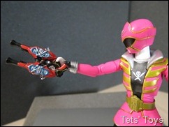 Gokai Pink (35)