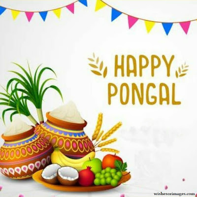 HD Images For Pongal