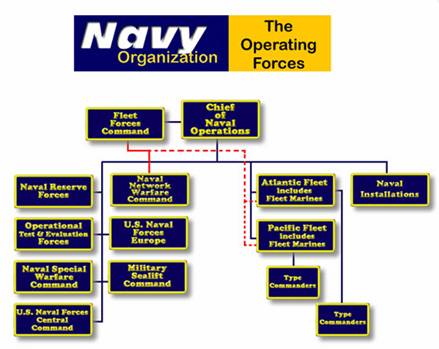 organization chart of hotel. hotel organization chart