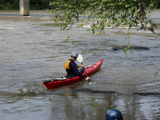 Sea kayaker on the French Broad