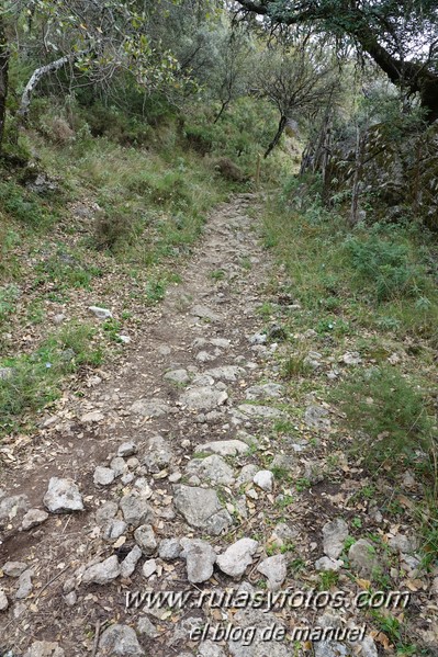 Sendero El Bosque - Benamahoma - Grazalema