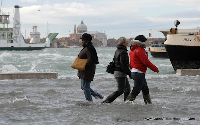 Venice is Swimming By: www.CuteeGroup.TK