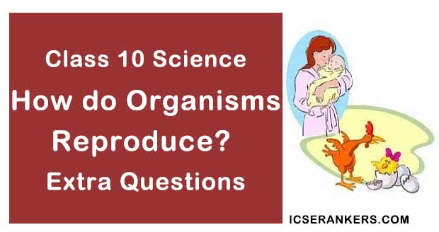 Chapter 8 How do Organisms Reproduce Class 10 Science Extra Questions