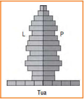 Piramida penduduk tua (Konstruktif)