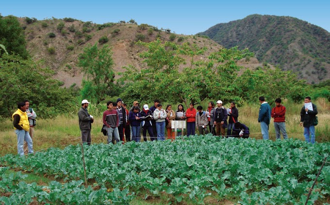 Crece el número de mujeres que estudian las carreras del campo (Argentina)