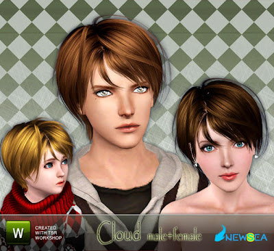 Newsea Cloud Male+Female Hairstyle Sep 27, 2010. Download at The Sims 