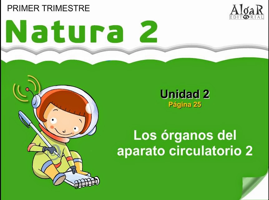  Natura. aparato circulatorio 2