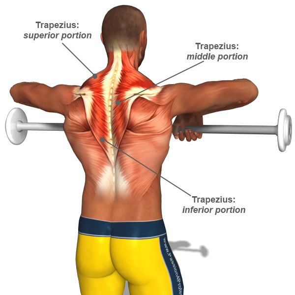 Bench Press 7 Week Program : Exam Preparation For Ms 70 461 Querying Microsoft Sql Server 2012