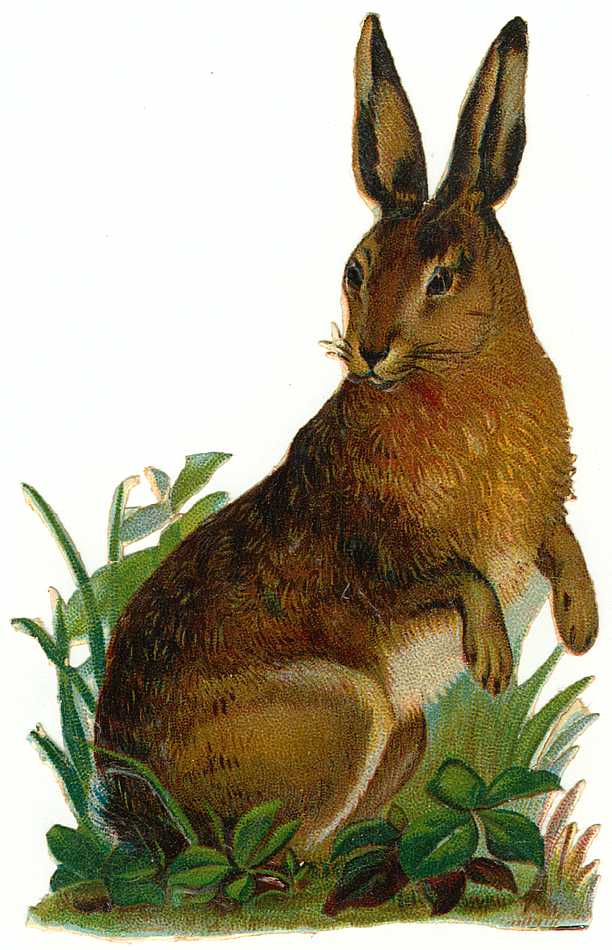 Cards Scrapbooking and Art: Freebies: Vintage Animals Rabbits