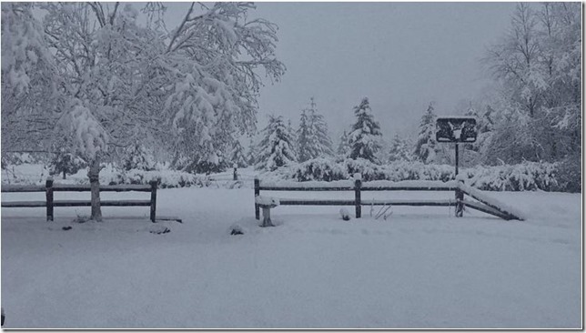 snow
