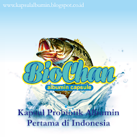 Cara Mengolah Ikan Gabus Menjadi Albumin