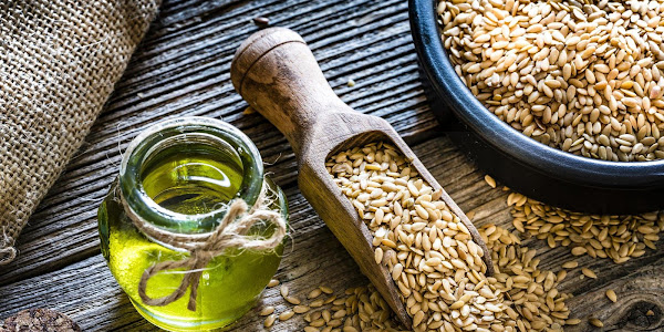 The Link Between Macular Degeneration and Seed Oils