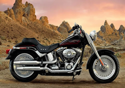 Top Harley Davidson